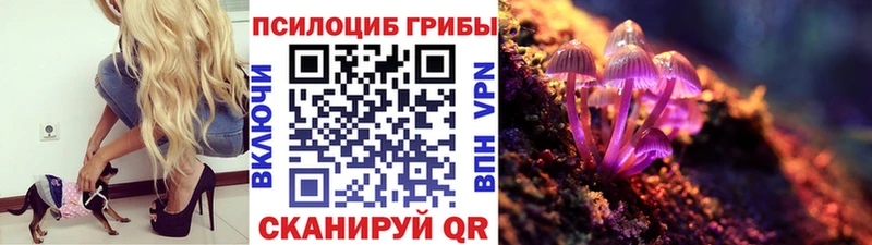 Галлюциногенные грибы MAGIC MUSHROOMS  Купить закладки  Первомайск 