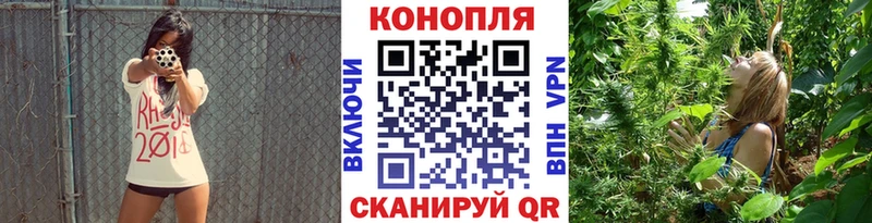 Купить где  Первомайск  Канабис марихуана 